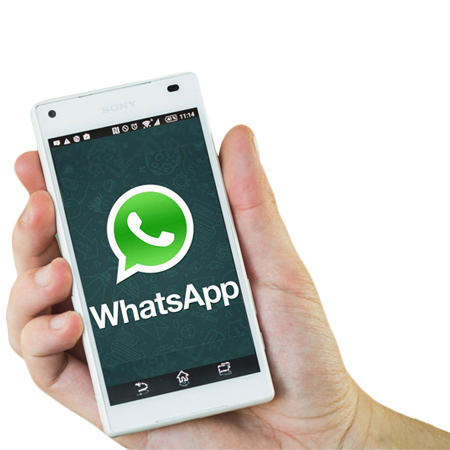 WhatsApp 33 1618 6004